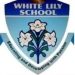 whitelilyschool